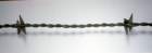 barbwire_small.jpg