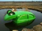 frog2_small.jpg
