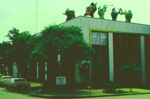 frogs.jpg