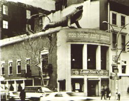 iguana.jpg