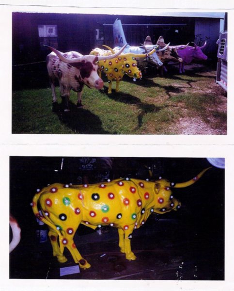 critters940.jpg